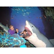 Nick Radziul's photo
