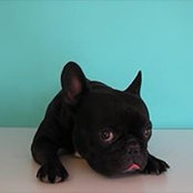 Emanuil Sheynin's photo