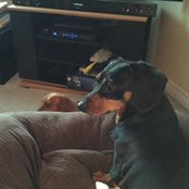 Donna Letts's photo