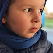 Alex Prandis foto