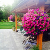 twrayburnさんの写真