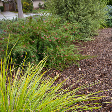 Lawn To Life