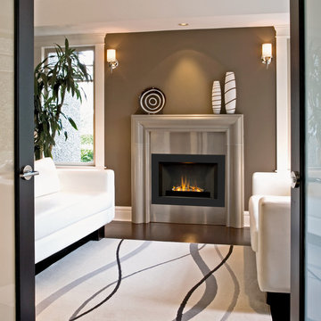 Gas Fireplace Insert