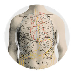 The New English - The New English Anatomica Bread Plate - Dinner Plates