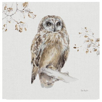Lisa Audit 'Woodland Walk Viii Owl' Canvas Art, 14"x14"