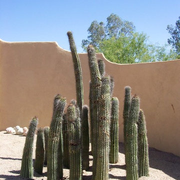 Omni National Residence