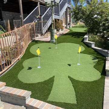 Artificial Turf and Concrete Walkway