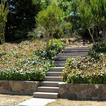 Paver and Landscape Moraga