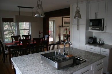 Kitchen - contemporary kitchen idea in DC Metro