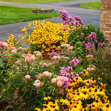 Curb Appeal