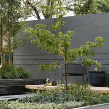 Retaining Wall planting