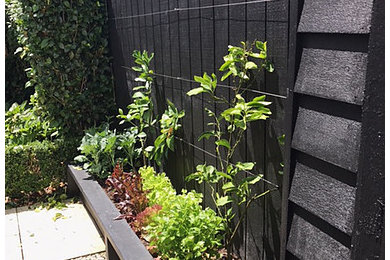 Auckland Fence & Planter Box