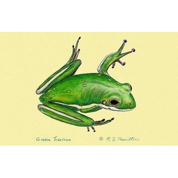 Green Tree Frog Door Mat 18x26