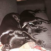 amber soutiere's photo
