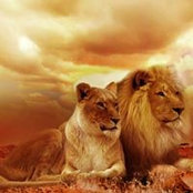 James Spencer's photo