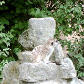 Foto von liane06