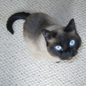 Steve Sample's photo
