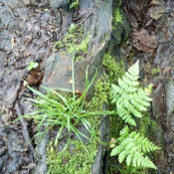 Bill Stephens's photo