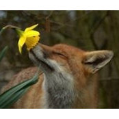 Daria Morrill's photo