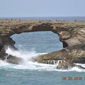 Jan Herrick's photo