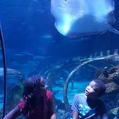 Erika Swift's photo