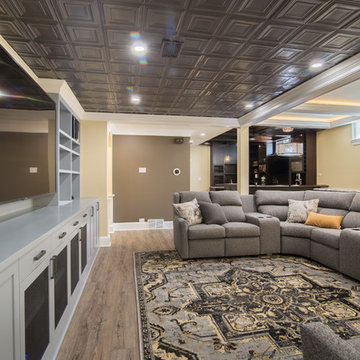 Downers Grove Basement Remodel