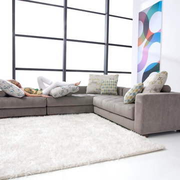 Manacor Sectional Sofa Sleeper by Famaliving California