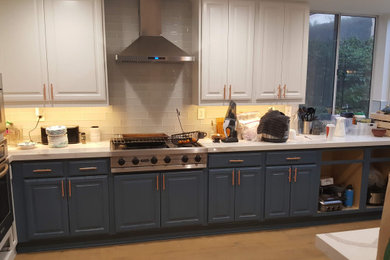 Los Angeles Remodel