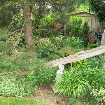 Shade Garden