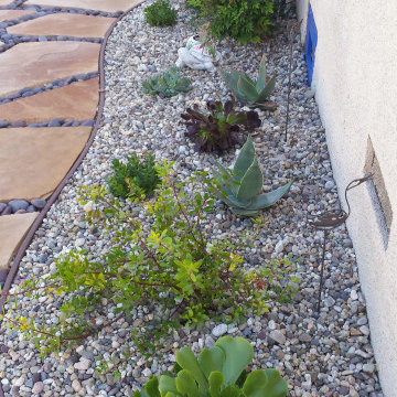 Water Conserving Landscape Projects