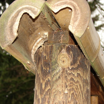 Arbors/Pergolas/Fences
