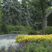 planting arrangement