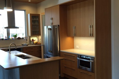 Minimalist kitchen photo in Other
