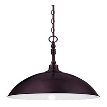 Pendant Light