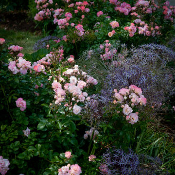 Before and After images of new garden installations