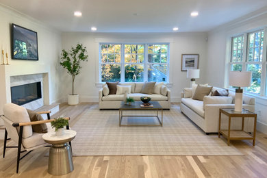 Inspiration for a transitional living room remodel in Boston