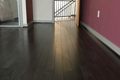 Bedroom - large contemporary master dark wood floor bedroom idea in DC Metro