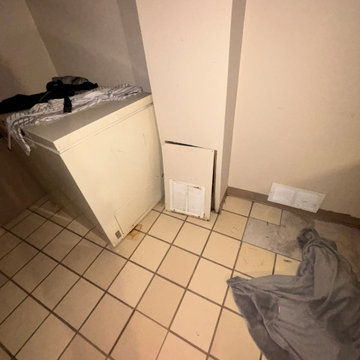 Basement Flood Renovation