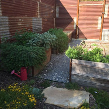 Vegetable Garden