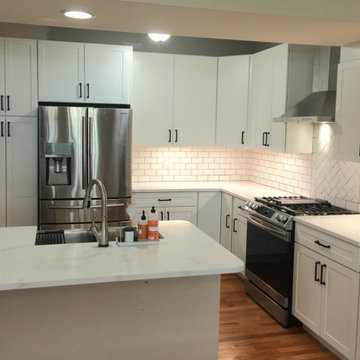 Contemporary Kitchen Renovation