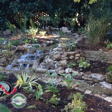 KOI Pond, Backyard Pond & Small Pond Ideas for your Kentucky Landscape