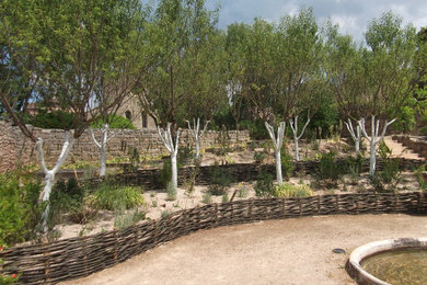 Exemple d'un jardin méditerranéen.