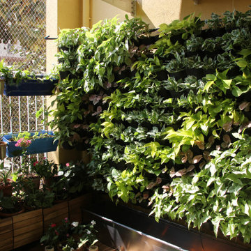 Vertical Garden for Private Home Owner