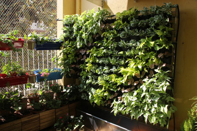 Vertical Garden for Private Home Owner