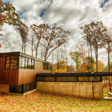 Terraced House - Elm Grove - Modern Wood Exterior in a Wooded Suburban Setting
