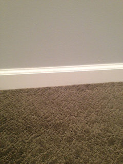 Color Dilemma Greenish Gray Carpet