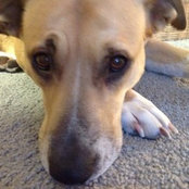 Julia Ackley's photo