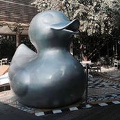 Rose Riggio-Friedewald's photo