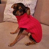 Kat Mapley's photo