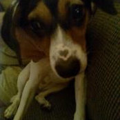 Foto de Sharon Cox Dorsey
